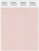 Pantone Smart 13-1404 TCX Color Swatch Card | Pale Dogwood