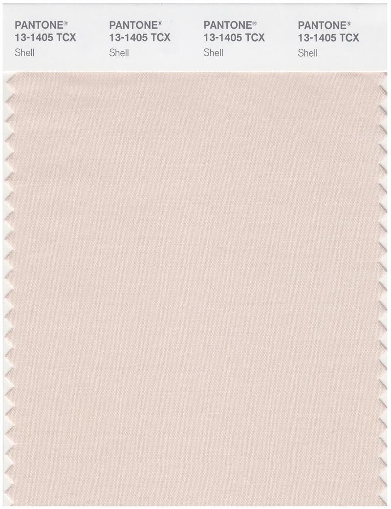 Pantone Smart 13-1405 TCX Color Swatch Card | Shell