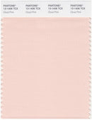 Pantone Smart 13-1406 TCX Color Swatch Card | Cloud Pink