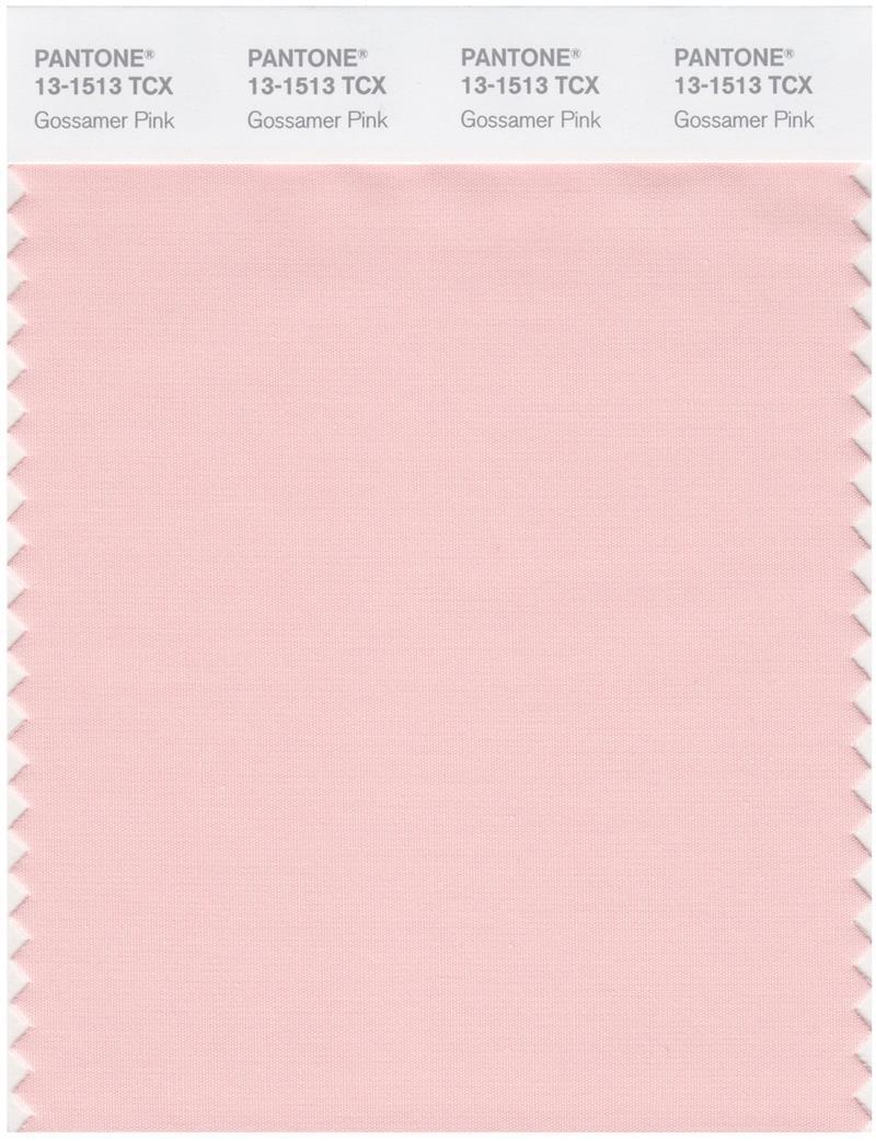 Pantone Smart 131513 TCX Color Swatch Card Gossamer Pink Magazine