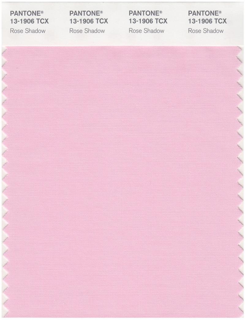 チャモリンページです Pantone Smart 13-1906 TCX Color Swatch Card | Rose Shadow