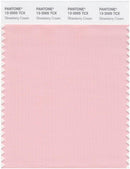 Pantone Smart 13-2005 TCX Color Swatch Card | Strawberry Cream