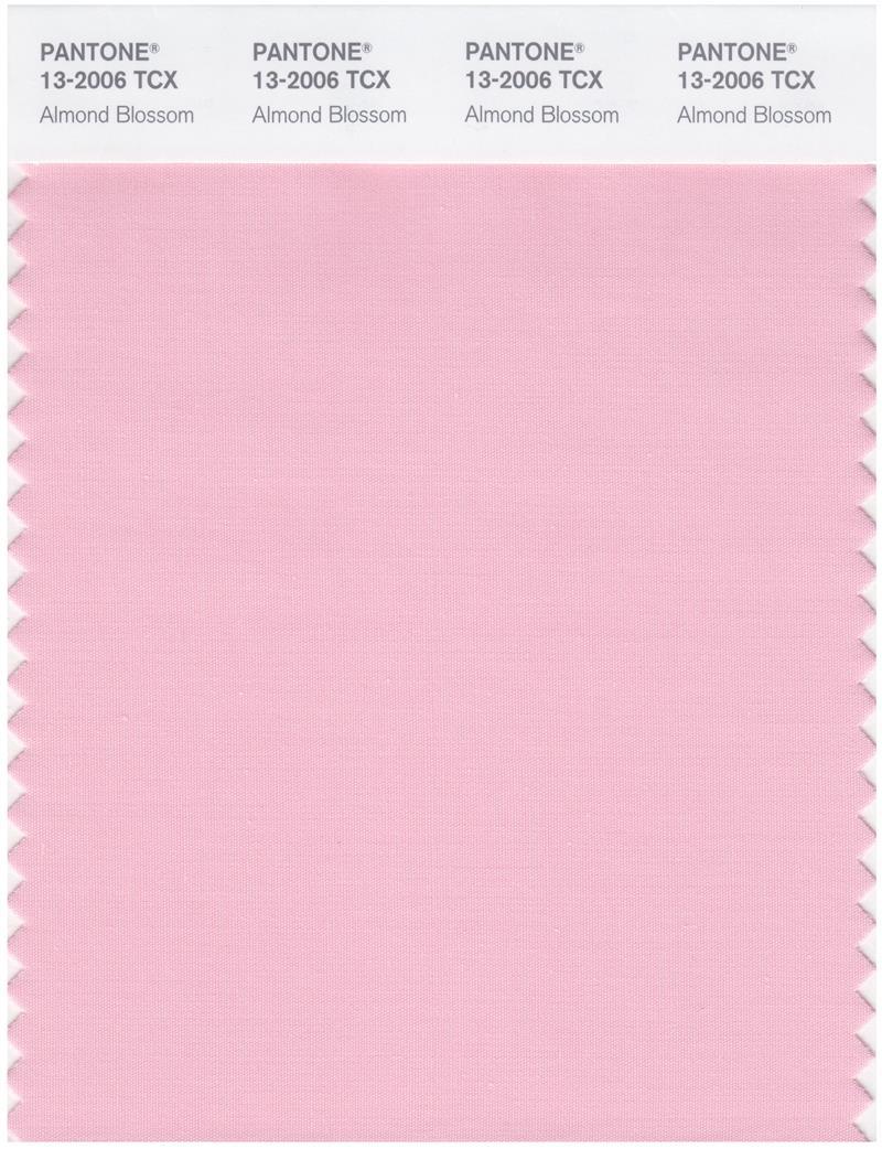 Pantone Smart 13-2006 TCX Color Swatch Card | Almond Blossom