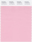 Pantone Smart 13-2006 TCX Color Swatch Card | Almond Blossom