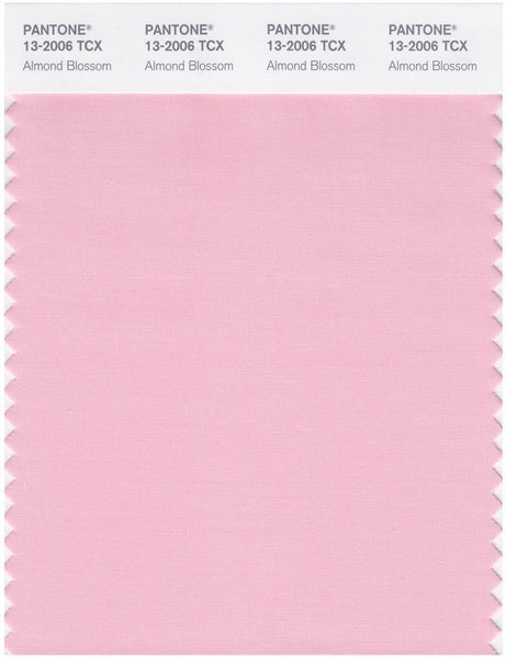 Pantone Smart 13-2006 TCX Color Swatch Card | Almond Blossom