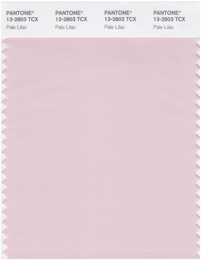 Pantone Smart 13-2803 TCX Color Swatch Card | Pale Lilac