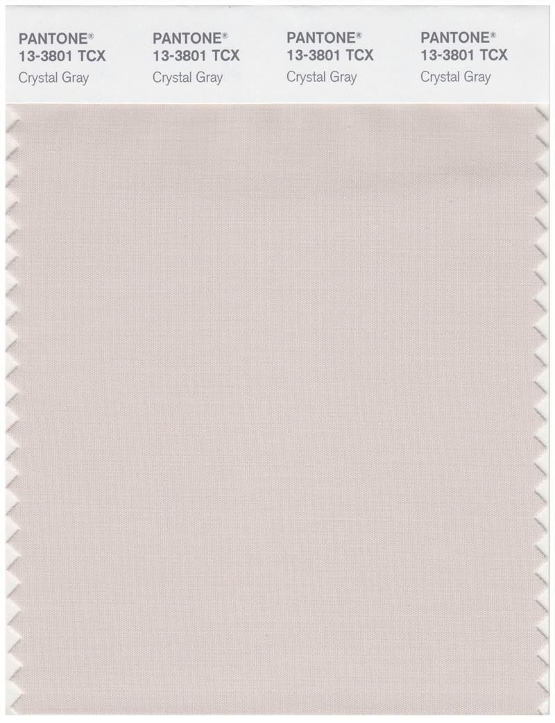 Pantone Smart 13-3801 TCX Color Swatch Card | Crystal Gray