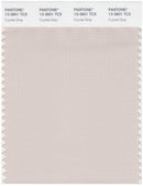 Pantone Smart 13-3801 TCX Color Swatch Card | Crystal Gray