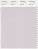 Pantone Smart 13-3804 TCX Color Swatch Card | Gray Lilac