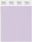 Pantone Smart 13-3820 TCX Color Swatch Card | Lavender Fog