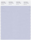 Pantone Smart 13-4110 TCX Color Swatch Card | Arctic Ice