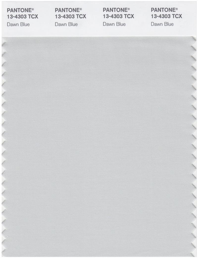 Pantone Smart 13-4303 TCX Color Swatch Card | Dawn Blue
