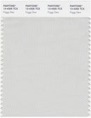 Pantone Smart 13-4305 TCX Color Swatch Card | Foggy Dew