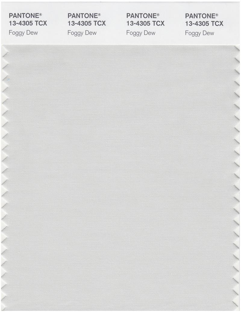 Pantone Smart 13-4305 TCX Color Swatch Card | Foggy Dew