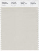 Pantone Smart 13-4403 TCX Color Swatch Card | Silver Birch
