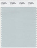 Pantone Smart 13-4405 TCX Color Swatch Card | Misty Blue