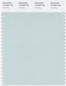 Pantone Smart 13-4804 TCX Color Swatch Card | Pale Blue
