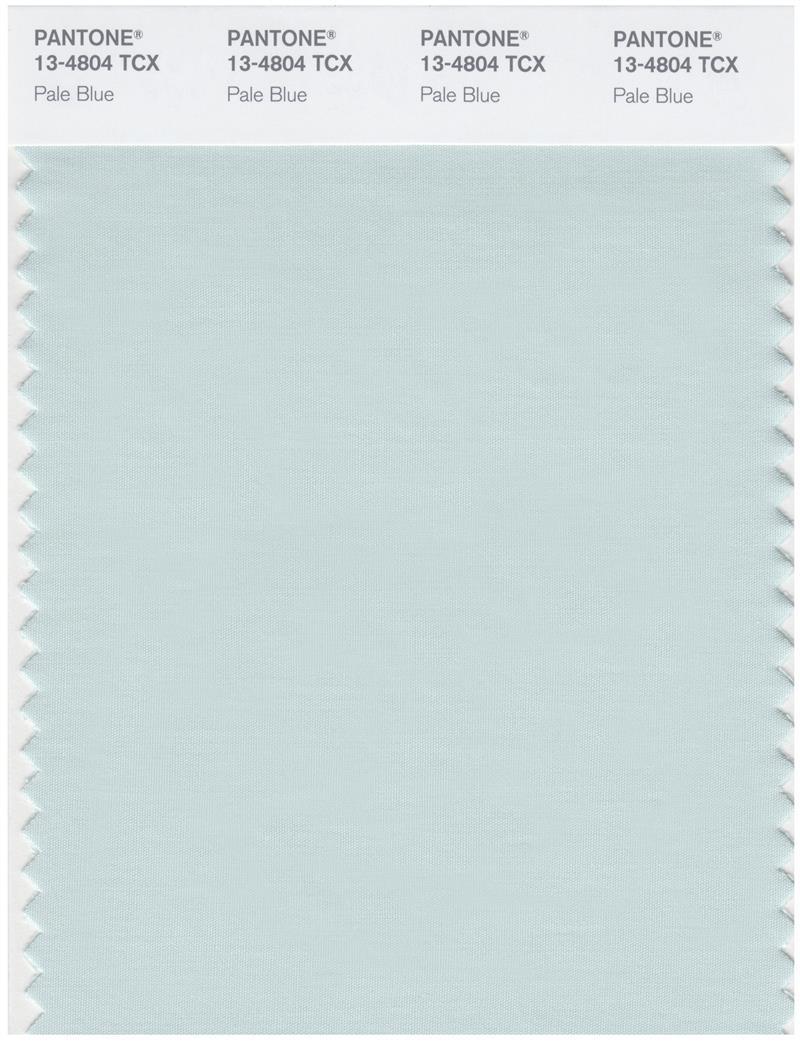 Pantone Smart 13-4804 TCX Color Swatch Card | Pale Blue