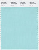 Pantone Smart 13-4910 TCX Color Swatch Card | Blue Tint