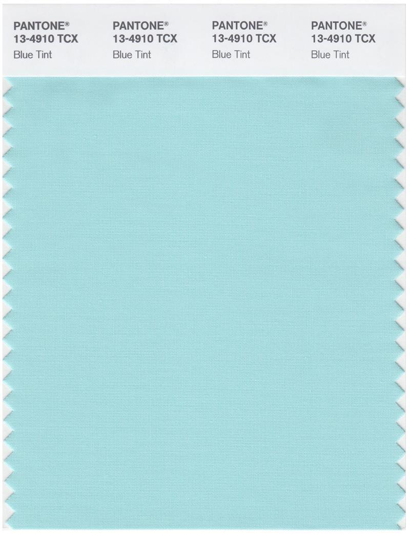 Pantone Smart 13-4910 TCX Color Swatch Card | Blue Tint