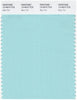 Pantone Smart 13-4910 TCX Color Swatch Card | Blue Tint