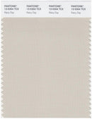 Pantone Smart 13-5304 TCX Color Swatch Card | Rainy Day
