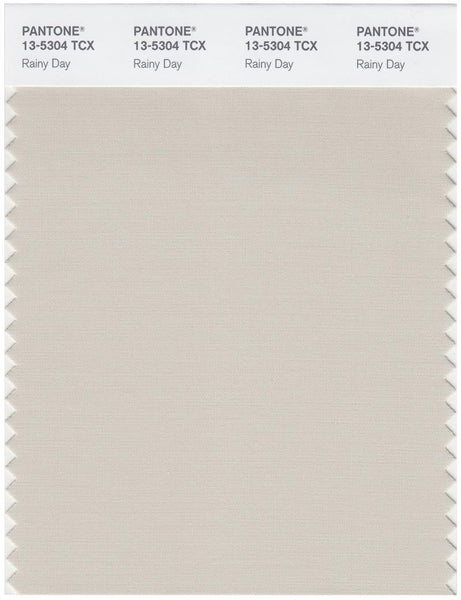 Pantone Smart 13-5304 TCX Color Swatch Card | Rainy Day | Magazine