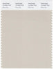 Pantone Smart 13-5304 TCX Color Swatch Card | Rainy Day