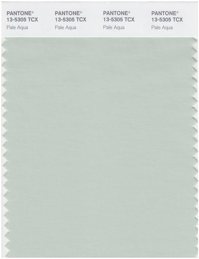 Pantone Smart 13-5305 TCX Color Swatch Card | Pale Aqua | Magazine
