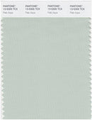 Pantone Smart 13-5305 TCX Color Swatch Card | Pale Aqua