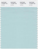 Pantone Smart 13-5306 TCX Color Swatch Card | Icy Morn