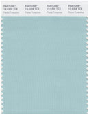 Pantone Smart 13-5309 TCX Color Swatch Card | Pastel Turquoise