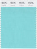 Pantone Smart 13-5313 TCX Color Swatch Card | Aruba Blue