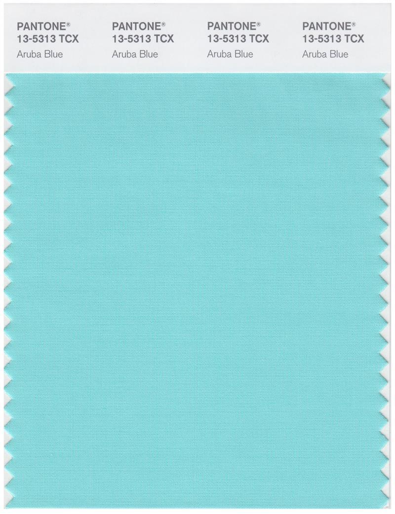 Pantone Smart 13-5313 TCX Color Swatch Card | Aruba Blue
