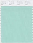 Pantone Smart 13-5409 TCX Color Swatch Card | Yucca