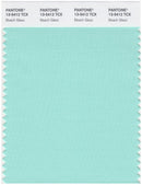 Pantone Smart 13-5412 TCX Color Swatch Card | Beach Glass