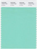 Pantone Smart 13-5414 TCX Color Swatch Card | Ice Green