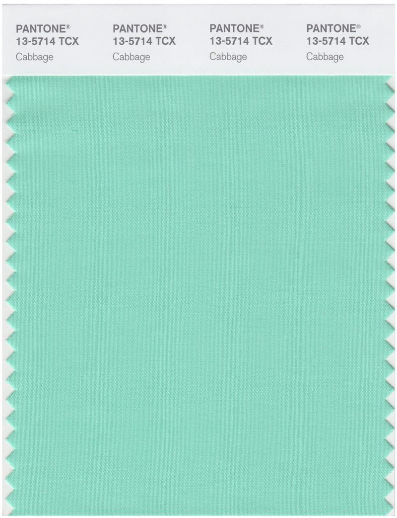 Pantone Smart 13-5714 TCX Color Swatch Card | Cabbage | Magazine