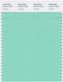 Pantone Smart 13-5714 TCX Color Swatch Card | Cabbage
