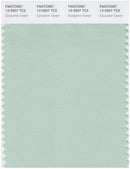 Pantone Smart 13-5907 TCX Color Swatch Card | Gossamer Green