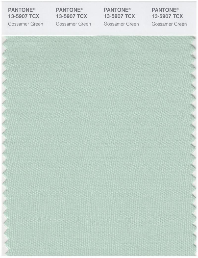 Pantone Smart 13-5907 TCX Color Swatch Card | Gossamer Green