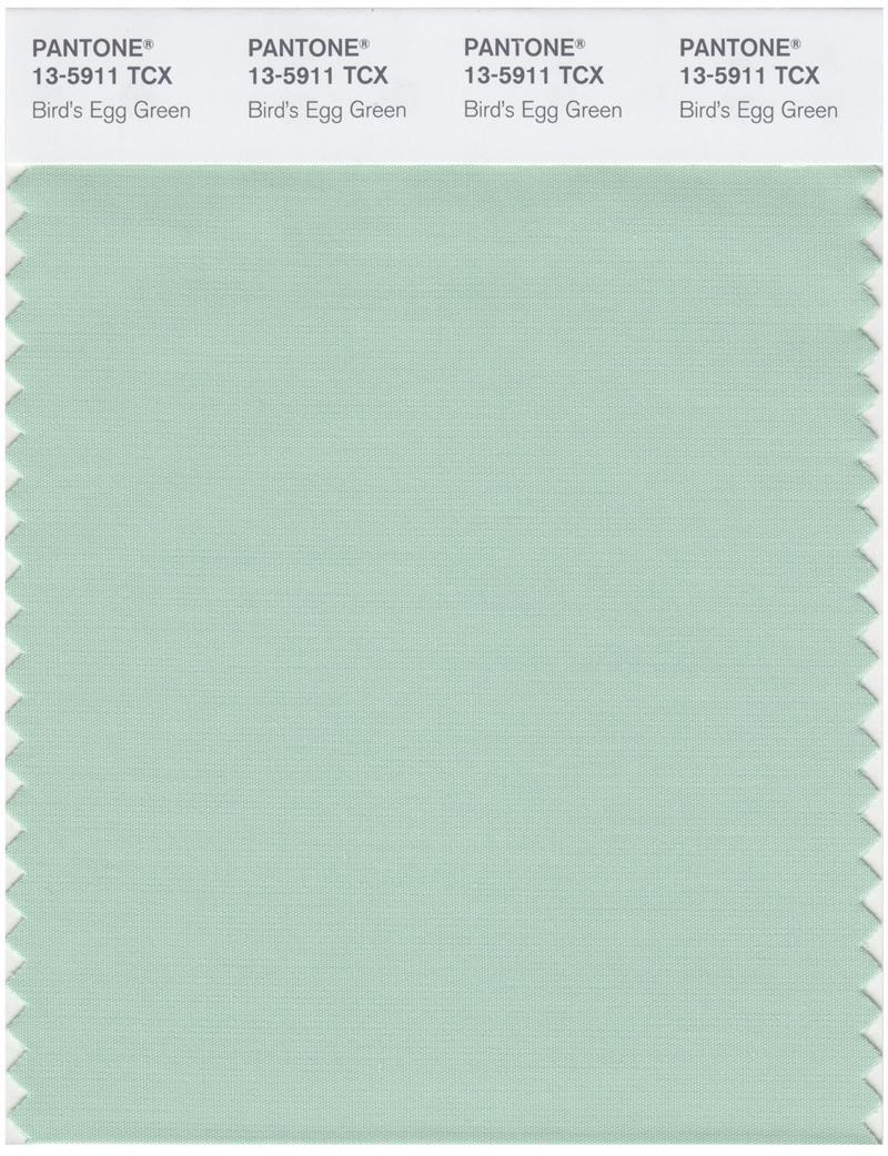 Pantone Smart 13-5911 TCX Color Swatch Card | Bird's Egg Green