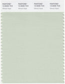Pantone Smart 13-6006 TCX Color Swatch Card | Almost Aqua