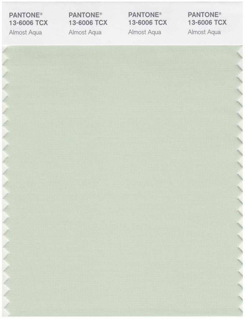 13600 Color Pantone Smart 13-6006 TCX Color Swatch Card | Amost Aqua | Magazine ...