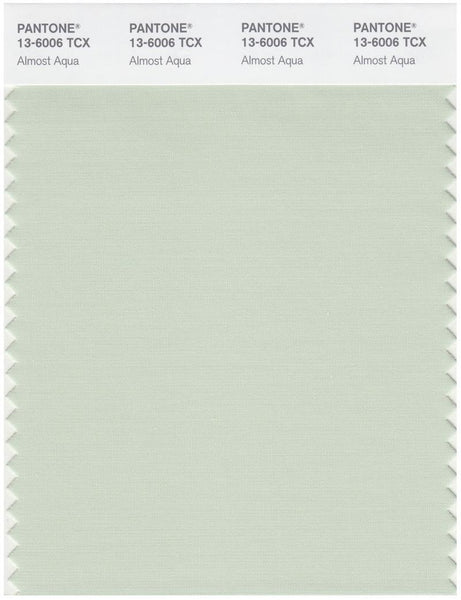 Pantone Smart 13-6006 TCX Color Swatch Card | Amost Aqua