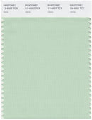 Pantone Smart 13-6007 TCX Color Swatch Card | Spray