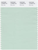 Pantone Smart 13-6008 TCX Color Swatch Card | Misty Jade