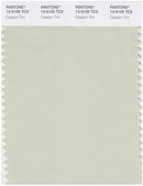 Pantone Smart 13-6105 TCX Color Swatch Card | Celadon Tint