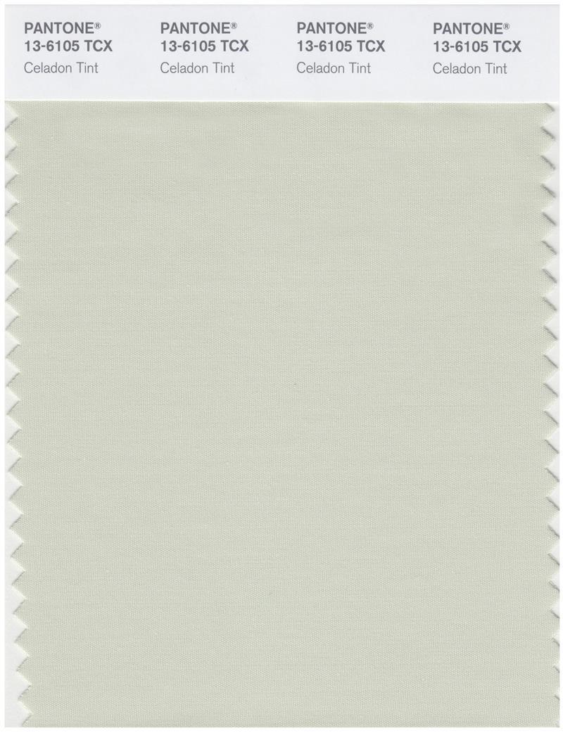 Pantone Smart 13-6105 TCX Color Swatch Card | Celadon Tint