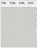 Pantone Smart 13-6106 TCX Color Swatch Card | Green Tint